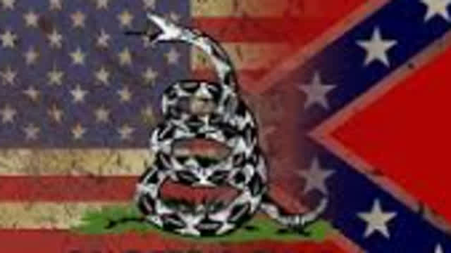 Johnny Rebel - Affirmative Action