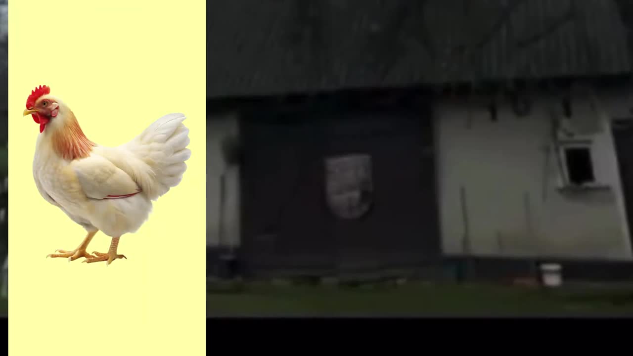 RRRRRAAAAAAAAAAAAAAAHHHHH