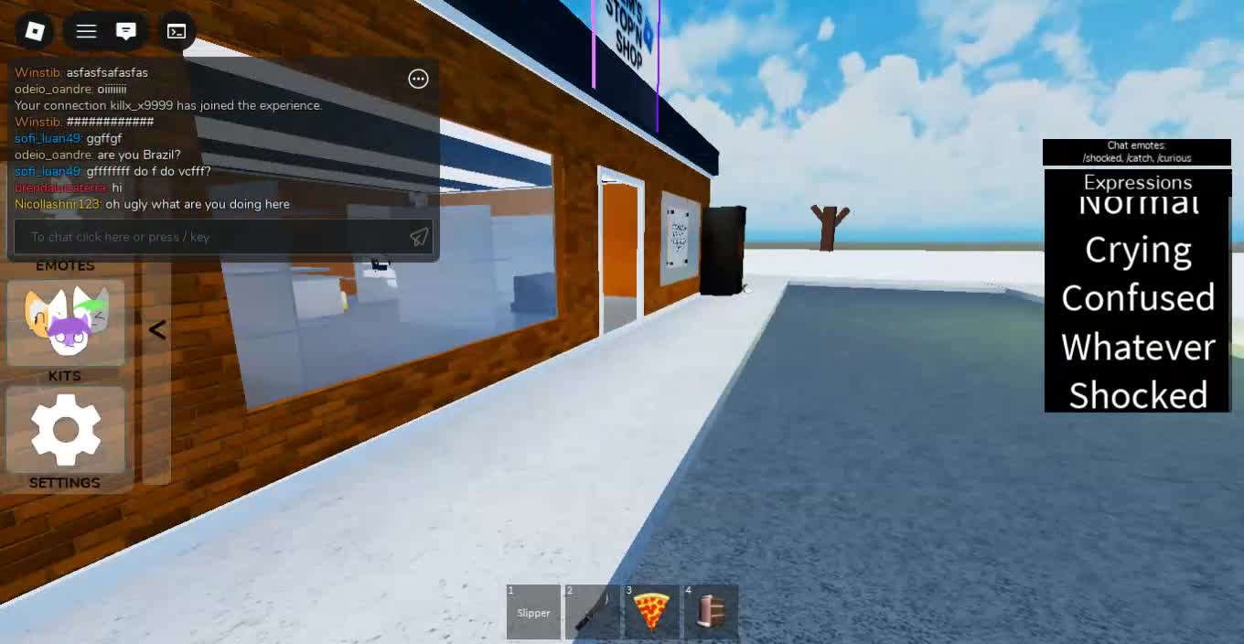 Roblox-2025-12-18T23_00_54.164Z