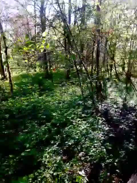 Erstmal Pause machen