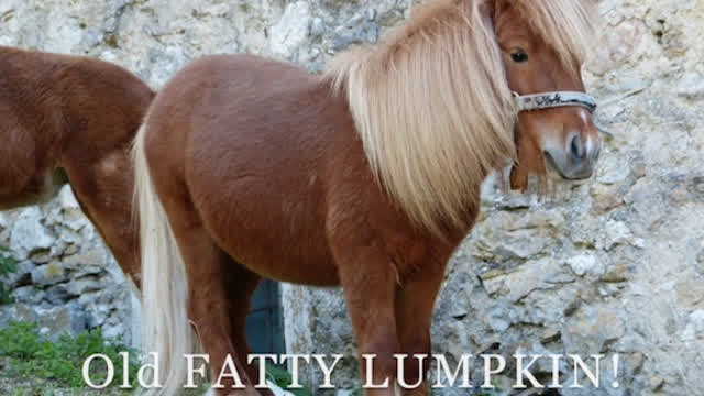 Ballad of Tom Bombadil