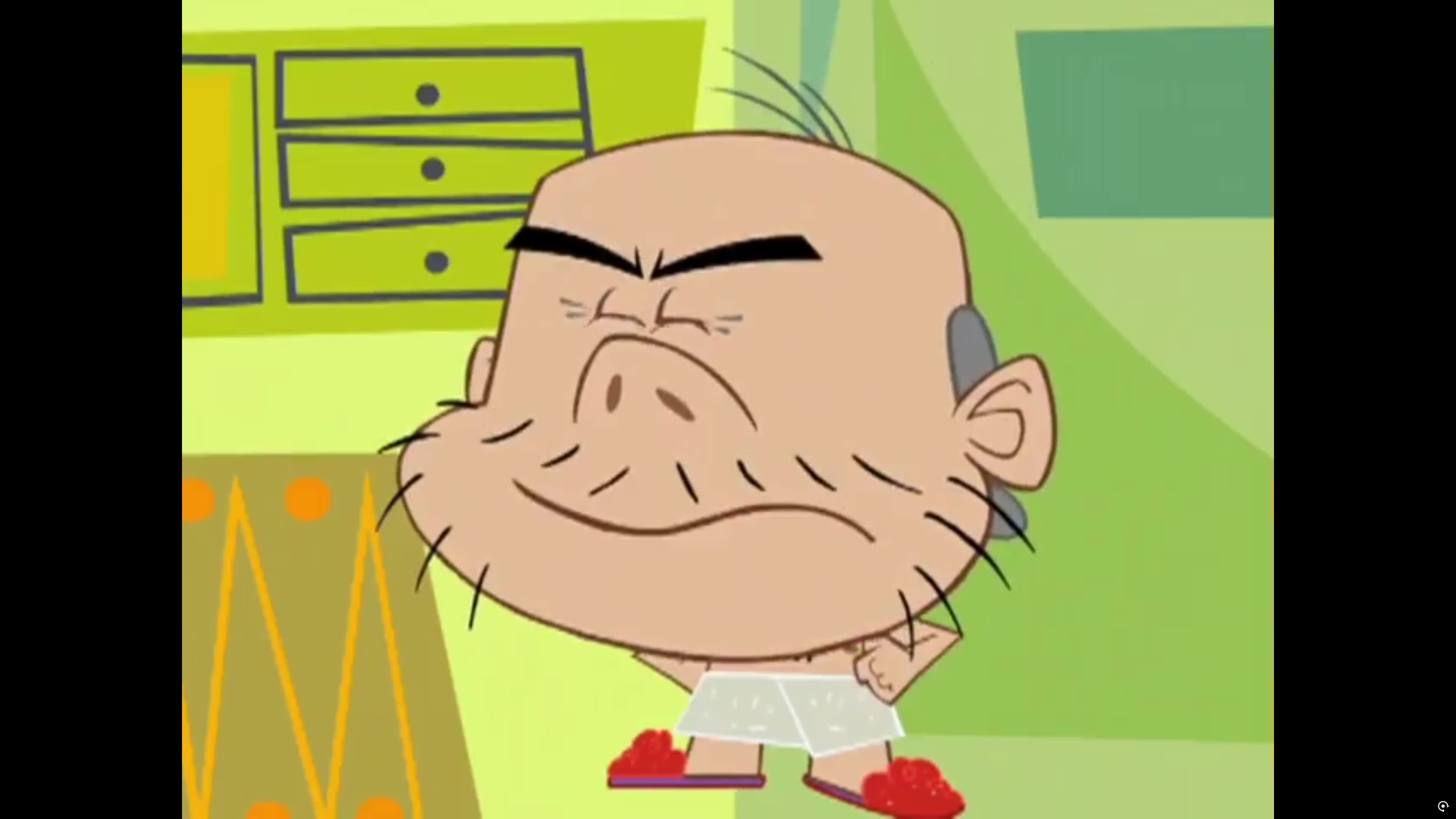 Bruh - That aint no dustmop, Those are cats 💀