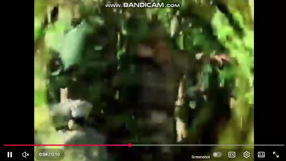 Disney Channel idents (2005 - 2009)