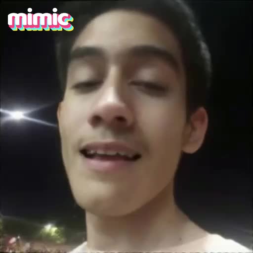 Mimic_1761870565389_watermark