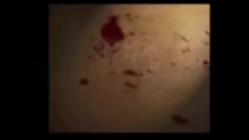 Creepypasta clarence se convierte en un psicópata episodio perdido(480P)