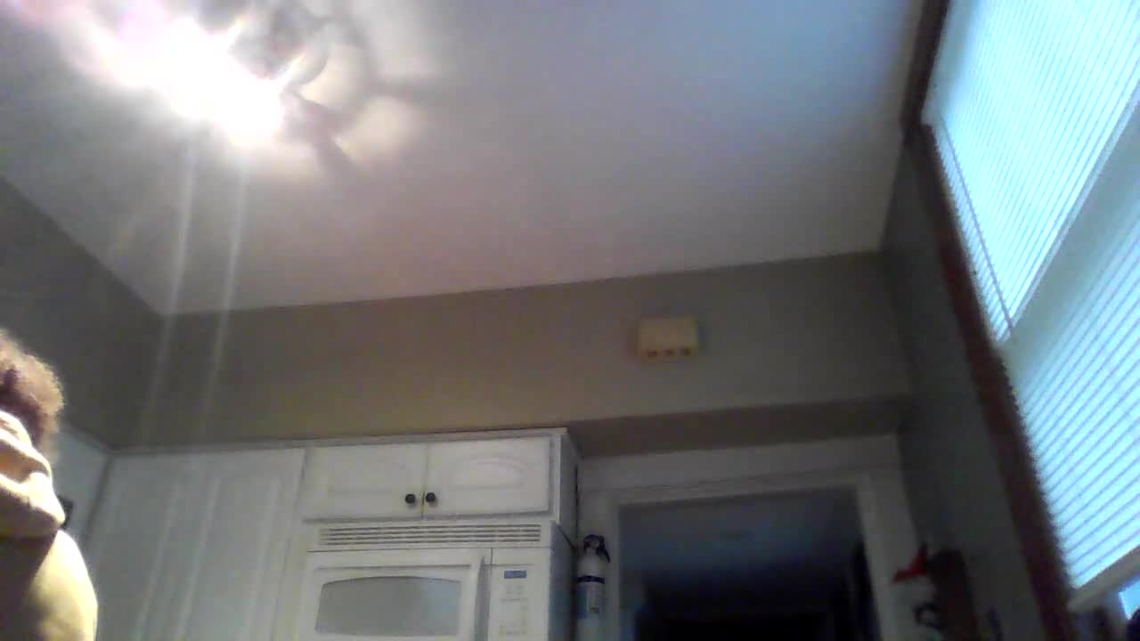 why I don't like burgers (SAD) (YOU WILL CRY)