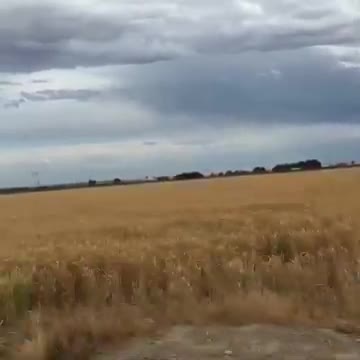 Corn is the best crop & wheat is worst