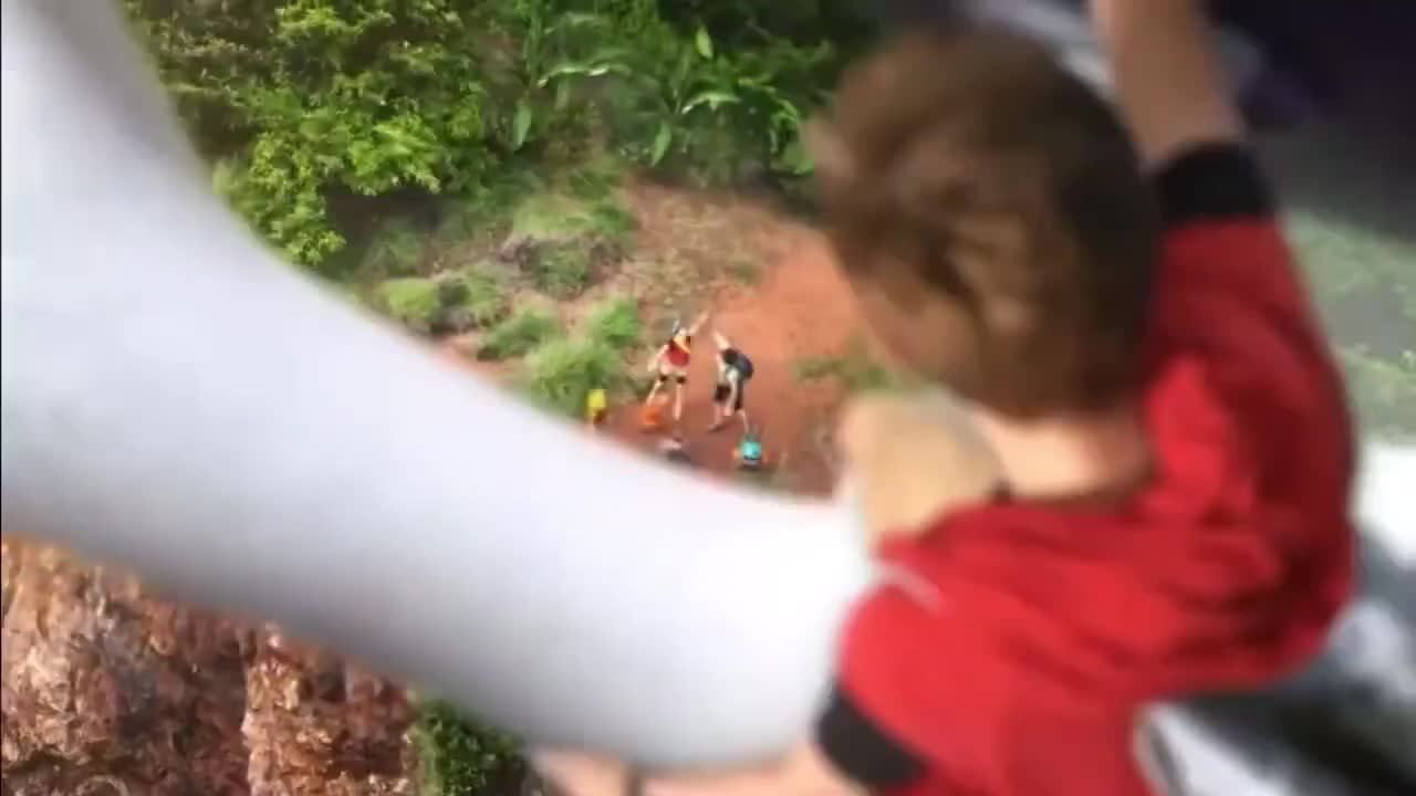 Pokémon Omega Ruby & Alpha Sapphire Commercial