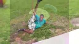 Extreme Daddy Dancing Extreme Daddy Dancing