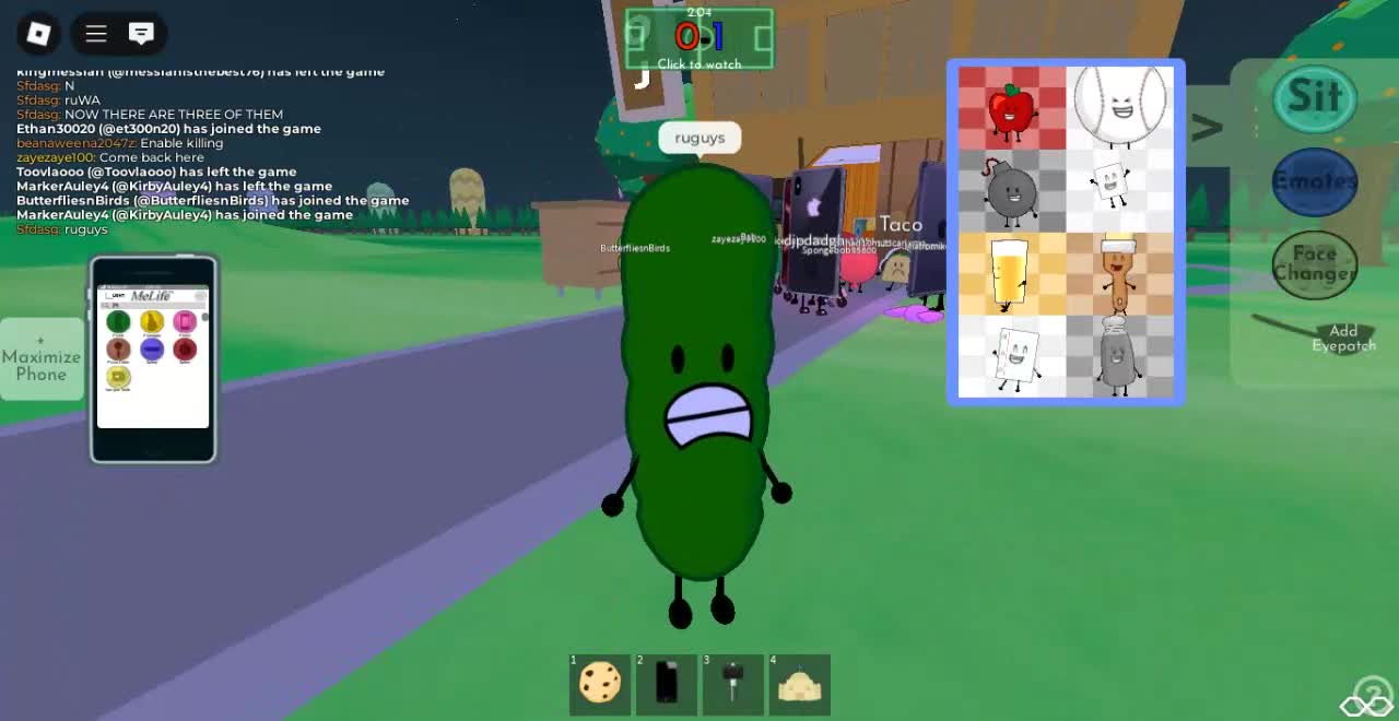 Roblox-2025-06-09T14_34_54.900Z