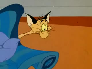 TOM VE JERRY (12)