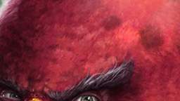 im da biggest bird but its low quality