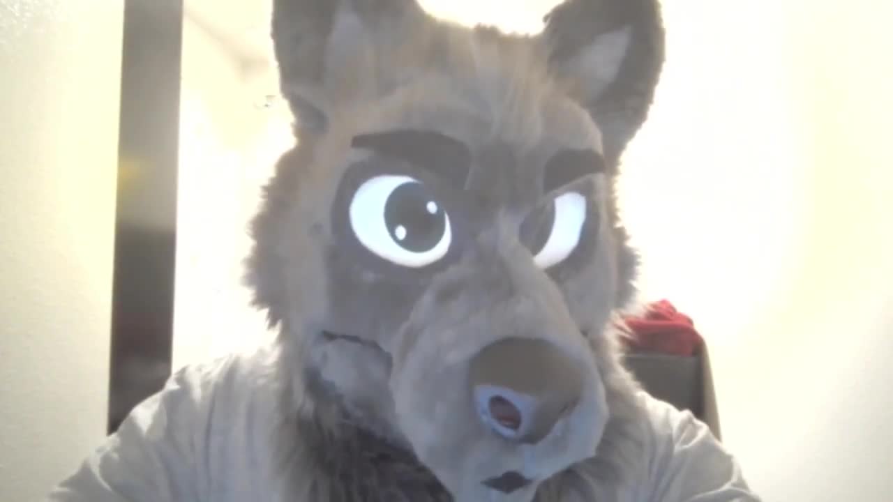 that one nixwuff video where he tried to defend a diaper furry "TYGER"