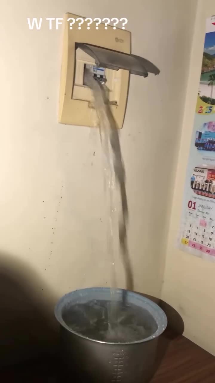 WTF