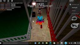 Playing piggy Playing piggy