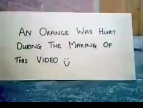 an orange was hurt during the making of this video