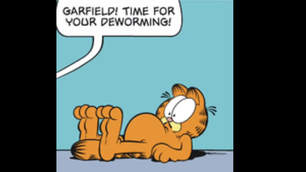 Garfield Comic Dub for September 14th, 2024
