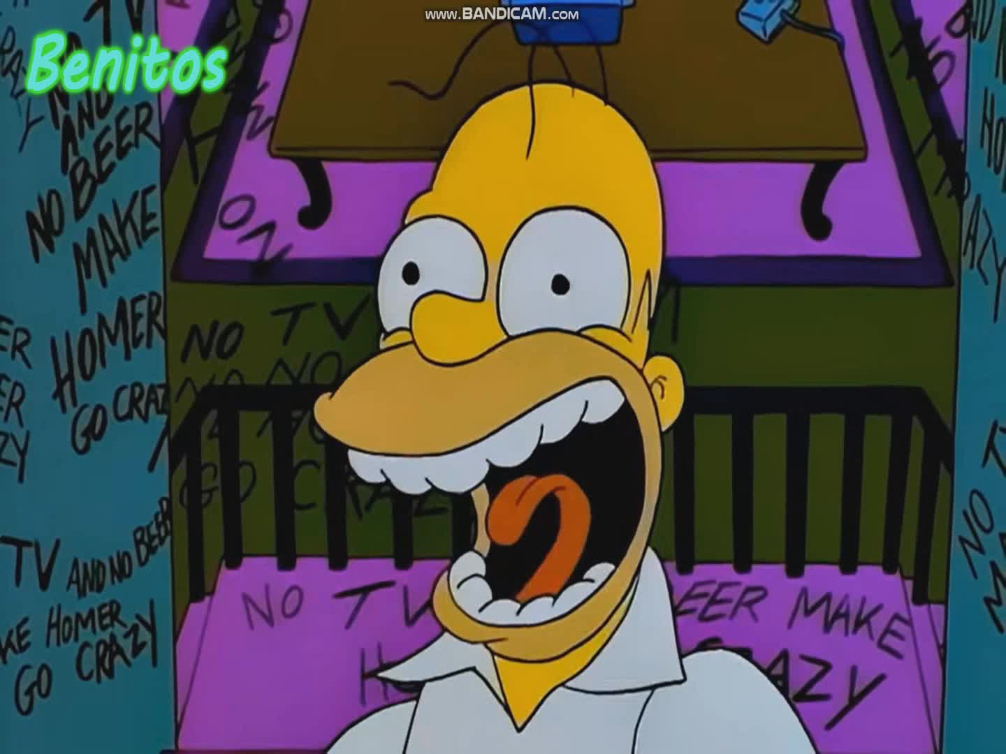 VLPH: Homero se volvio gei VLPH: Homero se volvio gei