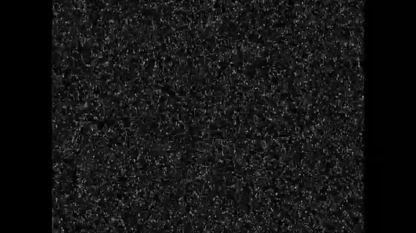 Object Show Cinema Shorts