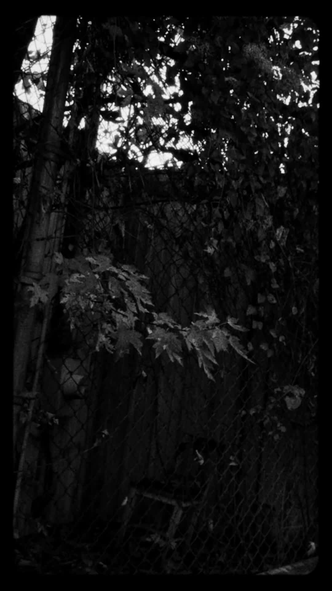 Walking around a HAUNTED CITY! Walking around a HAUNTED CITY!