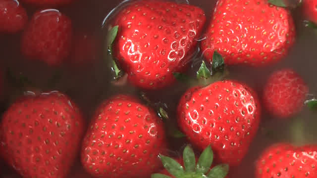 Random Vlog & Berry Tiramisu