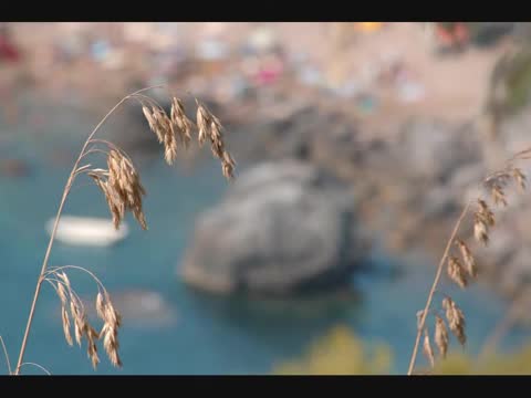 Se.Ra.Phic - Crystal Tear (Original Mix) Se.Ra.Phic - Crystal Tear (Original Mix)