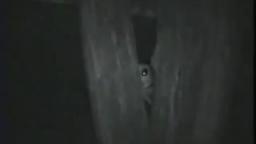 Alien in Brazil Alien in Brazil